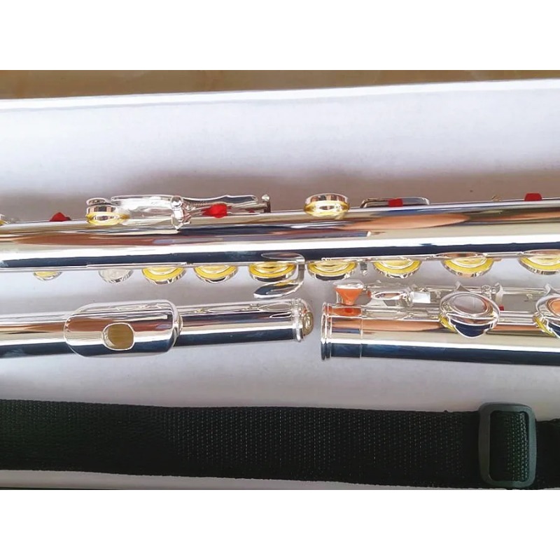 Professional Flute 211SL Model - Musical Instrument Morocco ulasan dan harga