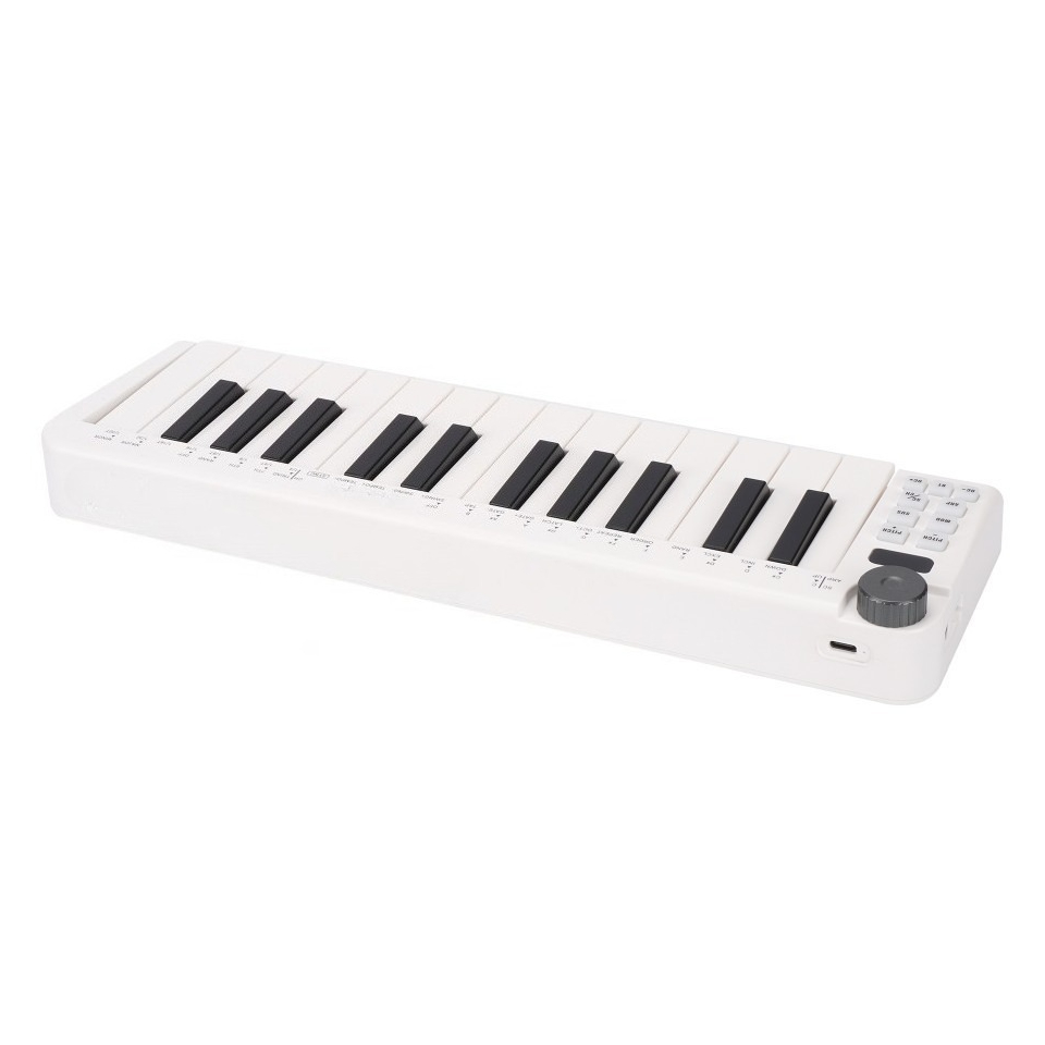25-Key MIDI Controller, Wirele - A Musical Instrument With Keys ulasan dan harga