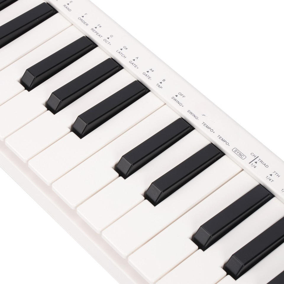 25-Key MIDI Controller, Wirele - A Musical Instrument With Keys ulasan dan harga