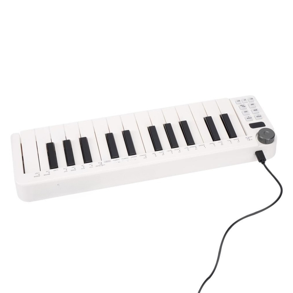 25-Key MIDI Controller, Wirele - A Musical Instrument With Keys ulasan dan harga