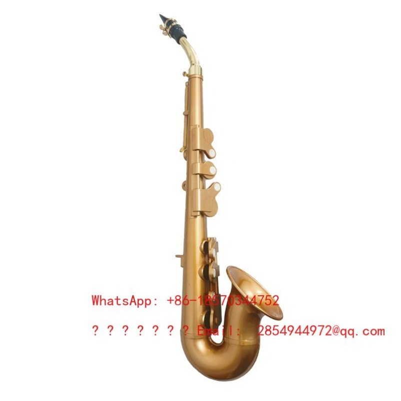 Resin Saxophone Musical Instru - Musical Instrument Easy To Learn For Adults ulasan dan harga